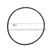 Pentair Seal Plate O - Ring, 355619 355619Z – Vita Pool Supply