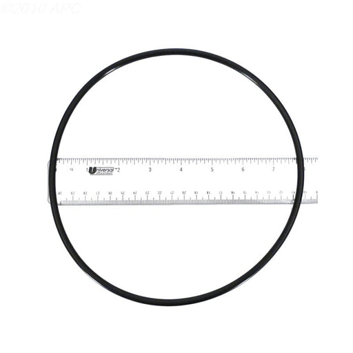 Pentair Seal Plate O - Ring, 355619 355619Z – Vita Pool Supply