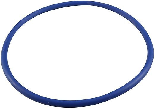 Pentair Strainer Cover O - Ring for IntelliFlo3 Pool Pump, 356189Z – Vita Pool Supply
