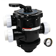 Pentair TA Tagelus 2" Top - Mount MPV Multiport Valve with Clamp, 6" Neck (262525) TA60 SD80 – Vita Pool Supply