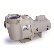 Pentair WhisperFlo® 1.1 HP Single Speed Pump (EC - 015583) – Vita Pool Supply