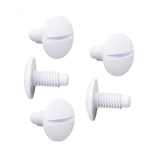Pentair White Wheel Screw, Pack of 5, EC55 – Vita Pool Supply