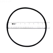 Pentair XF Series Pump Seal Plate O - Ring, 351446Z – Vita Pool Supply