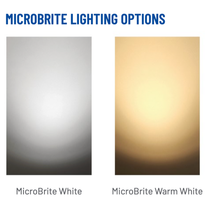 Pentair MicroBrite® White LED Pool Lights 150' Cord (620430, 602155)