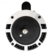 Polaris P61 3/4 HP PB4 - 60 Booster Pump Motor Threaded Shaft – Vita Pool Supply