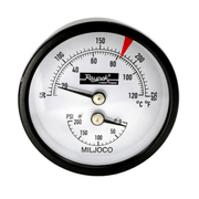 Raypak 0 - 200 PSI Temperature and Pressure Gauge 007399F – Vita Pool Supply