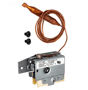 Raypak 003346F Pool Heater Thermostat 53A Kit – Vita Pool Supply