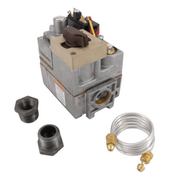 Raypak 003898F 1/2" Millivolt Pool Heater Natural Gas Valve – Vita Pool Supply