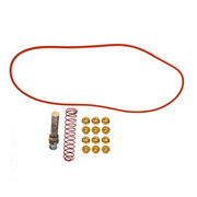Raypak 006827F 185 - 405 206 - 407 Inlet/Outlet Polymer Pool Header – Vita Pool Supply