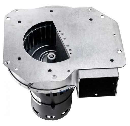 Raypak 008156F D - 2 Power Vent Blower – Vita Pool Supply