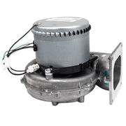 Raypak 014556F Combustion Air Blower Assembly 503A - 1505A – Vita Pool Supply