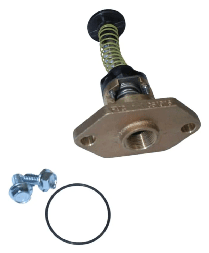Raypak 018759F Bypass Assembly Kit 206-268 — Vita Pool Supply