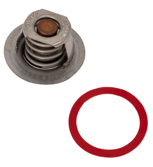 Raypak 019062F Unitherm Governor Kit – Vita Pool Supply