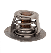 Raypak 019062F Unitherm Governor Kit – Vita Pool Supply