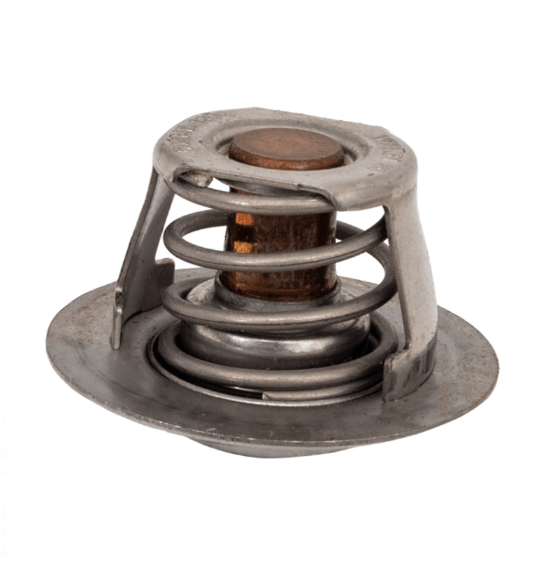 Raypak 019062F Unitherm Governor Kit – Vita Pool Supply