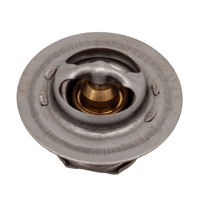 Raypak 019062F Unitherm Governor Kit – Vita Pool Supply