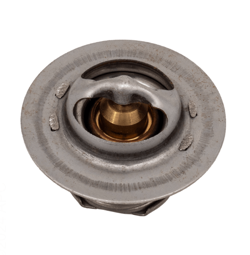 Raypak 019062F Unitherm Governor Kit – Vita Pool Supply