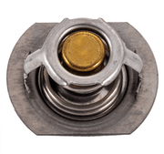Raypak 062234B Unitherm Governor – Vita Pool Supply