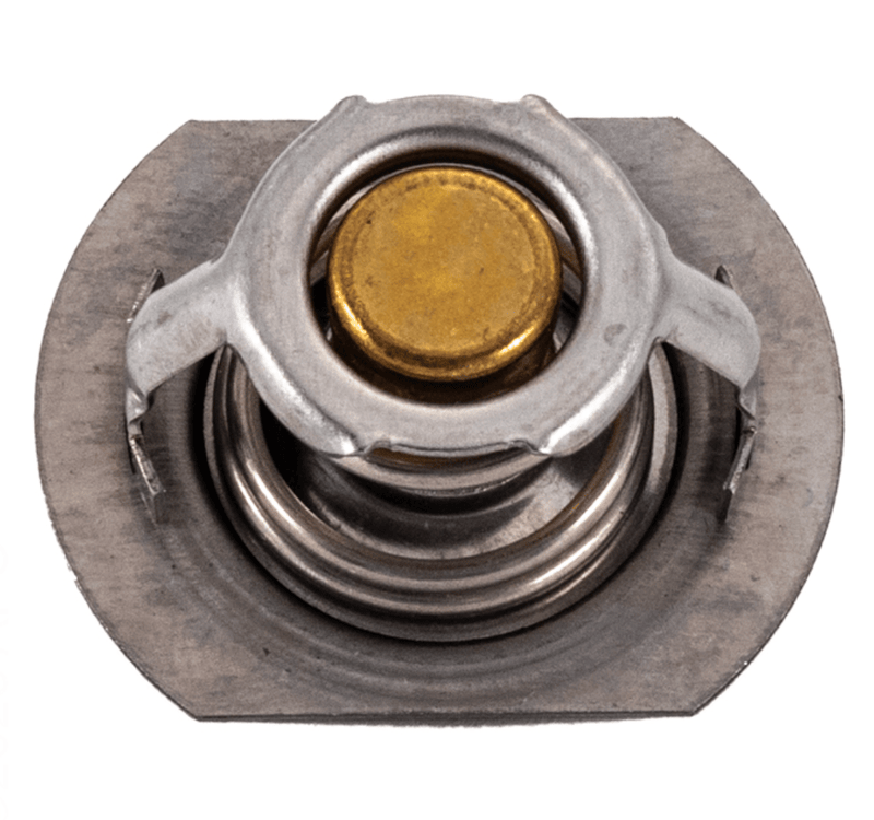 Raypak 062234B Unitherm Governor – Vita Pool Supply