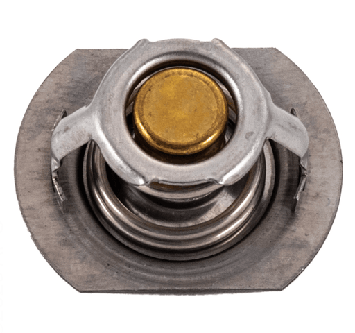 Raypak 062234B Unitherm Governor – Vita Pool Supply