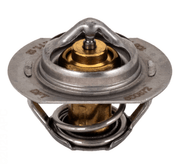 Raypak 062234B Unitherm Governor – Vita Pool Supply