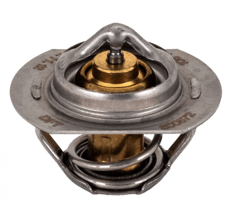 Raypak 062234B Unitherm Governor – Vita Pool Supply
