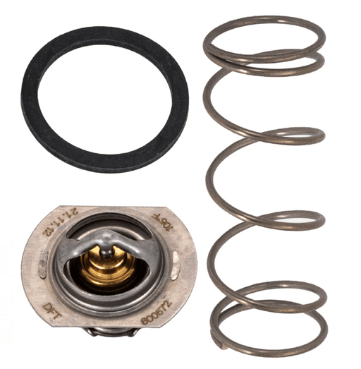 Raypak 062234B Unitherm Governor – Vita Pool Supply