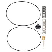 Raypak Bypass Valve Assembly 016194F – Vita Pool Supply