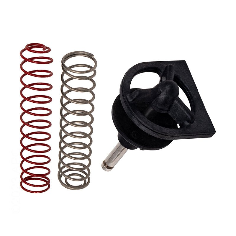Raypak Capron By - Pass Kit 006715F for R185A, R265A, R335A, R405A Pool Heater – Vita Pool Supply