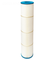 Raypak Cartridge Filter Element RPCFP150/152 Kit 018243F – Vita Pool Supply