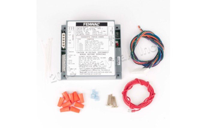Raypak Ignition Control 007374F – Vita Pool Supply