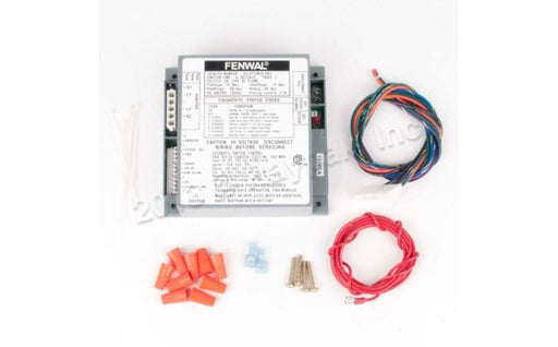 Raypak Ignition Control 007374F – Vita Pool Supply