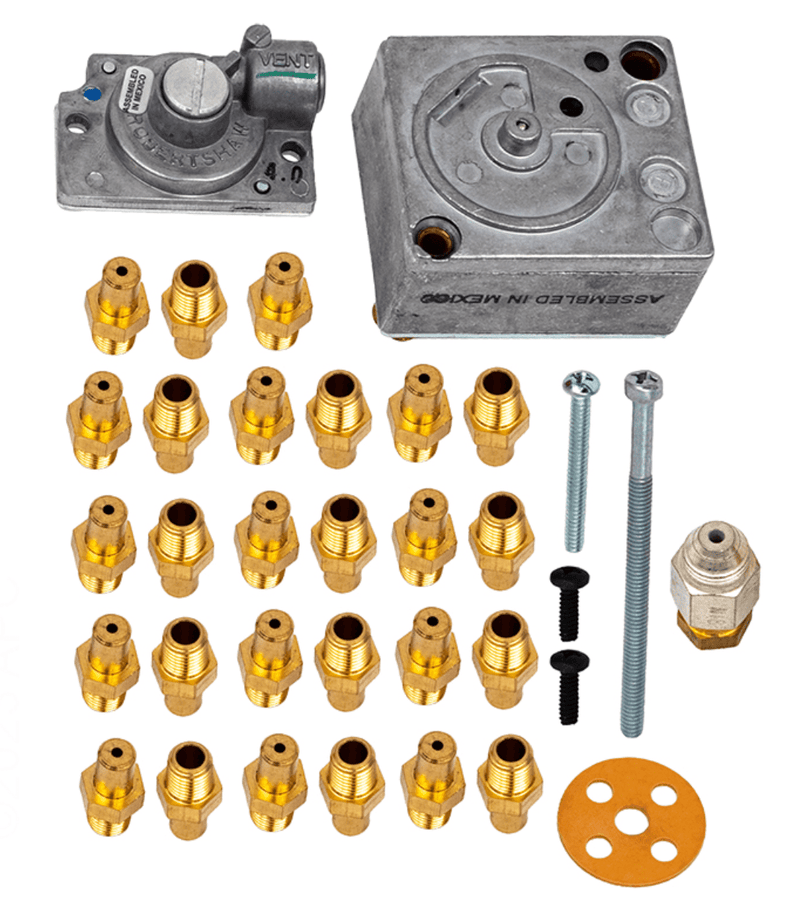 Raypak Millivolt Propane to Natural Gas Conversion Kit 010420F – Vita Pool Supply