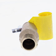 Raypak Pressure Relief Valve 125 PSI 008091F – Vita Pool Supply