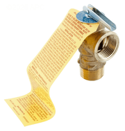 Raypak Pressure Relief Valve 125 PSI 008091F – Vita Pool Supply