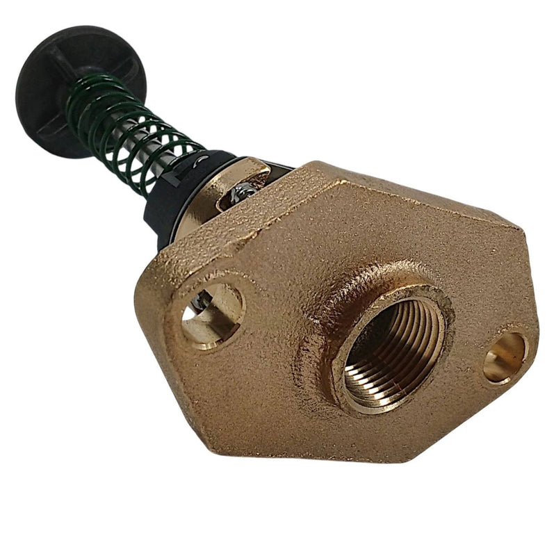 Raypak UG Bypass Assembly Kit 336 - 408 018758F – Vita Pool Supply