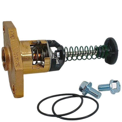 Raypak UG Bypass Assembly Kit 336 - 408 018758F – Vita Pool Supply
