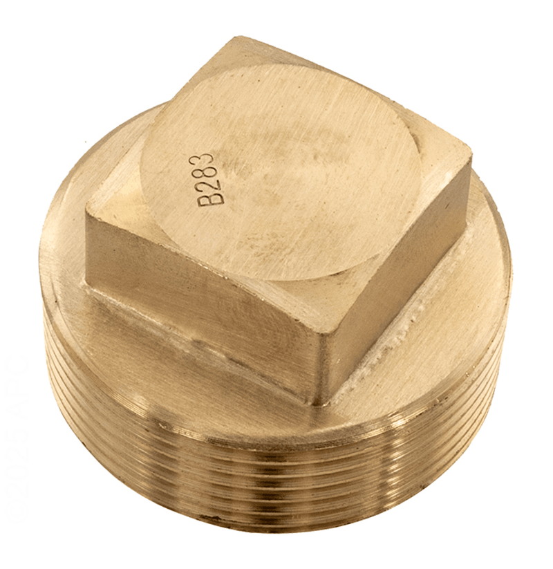 Raypak Unitherm Governor Plug 013738F – Vita Pool Supply