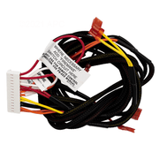 Raypak Wire Harness 009490F – Vita Pool Supply