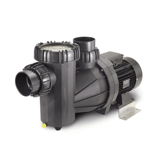 Speck 10HP 95 - XI Single Speed Commercial Pump IG273 - 1100F - 000 – Vita Pool Supply