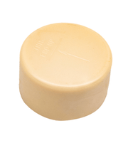 S.R. Smith Female White Rubber Ladder Bumper – Female, WRB - 101A - R – Vita Pool Supply