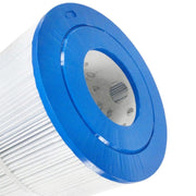 Waterway 100 Sq Ft Filter Cartridge 817 - 0100P – Vita Pool Supply