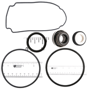 Waterway 56 Champion Frame SMF/Power Defender VITON® Pump Repair Kit – Vita Pool Supply
