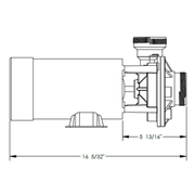 Waterway .75THP Single Speed Hi - Flo II Above Ground Pump (SD - 07 - 1 - T) – Vita Pool Supply