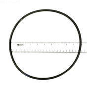 Waterway 805 - 0448B Pool Lid O - Ring – Vita Pool Supply