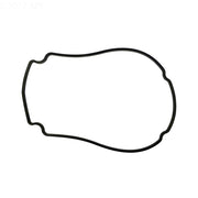 Waterway 806 - 1400 Faceplate Gasket for Champion 56 - Frame Pump – Vita Pool Supply