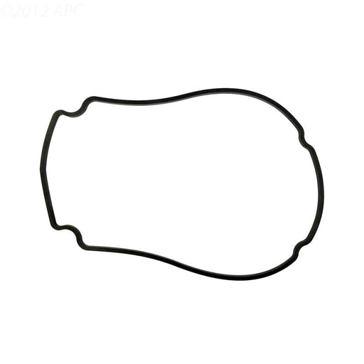 Waterway 806 - 1400 Faceplate Gasket for Champion 56 - Frame Pump – Vita Pool Supply