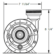 Waterway SD - 10 - 2 - T Hi - Flo II 2 - Speed Above Ground Pump with 3' Twist - Lock Cord, 48 - Frame – Vita Pool Supply