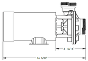 Waterway SD - 10 - 2 - T Hi - Flo II 2 - Speed Above Ground Pump with 3' Twist - Lock Cord, 48 - Frame – Vita Pool Supply